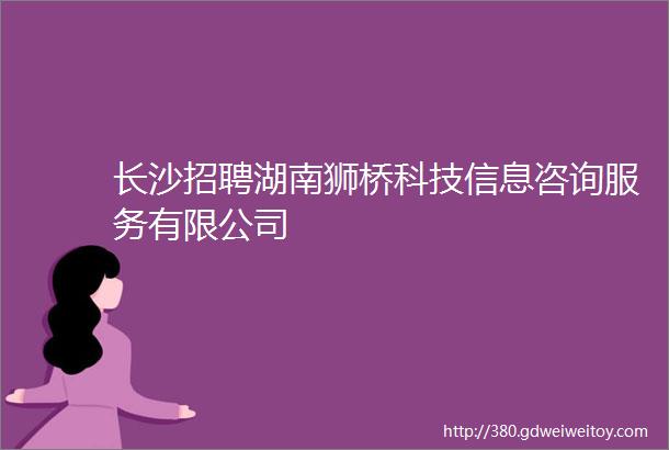 长沙招聘湖南狮桥科技信息咨询服务有限公司